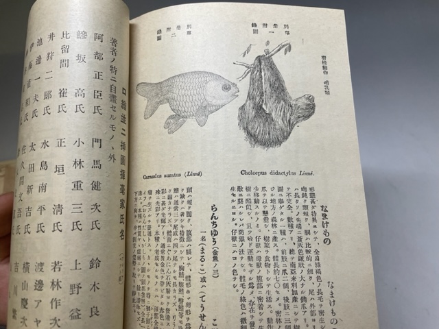日本動物図鑑